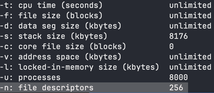 macOS 15.6.1 24G90 arm64